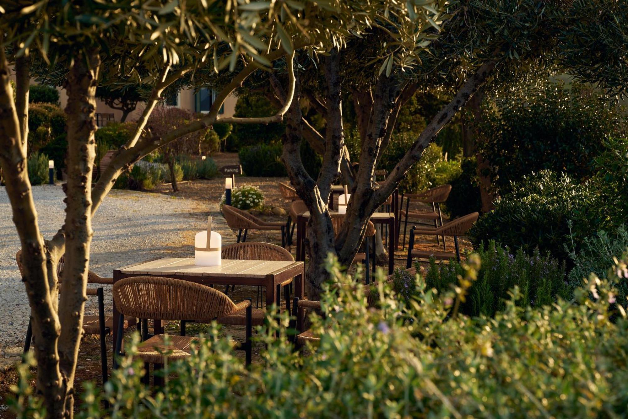 Appartement Eliathos Hillside Retreat à Archanes Extérieur photo