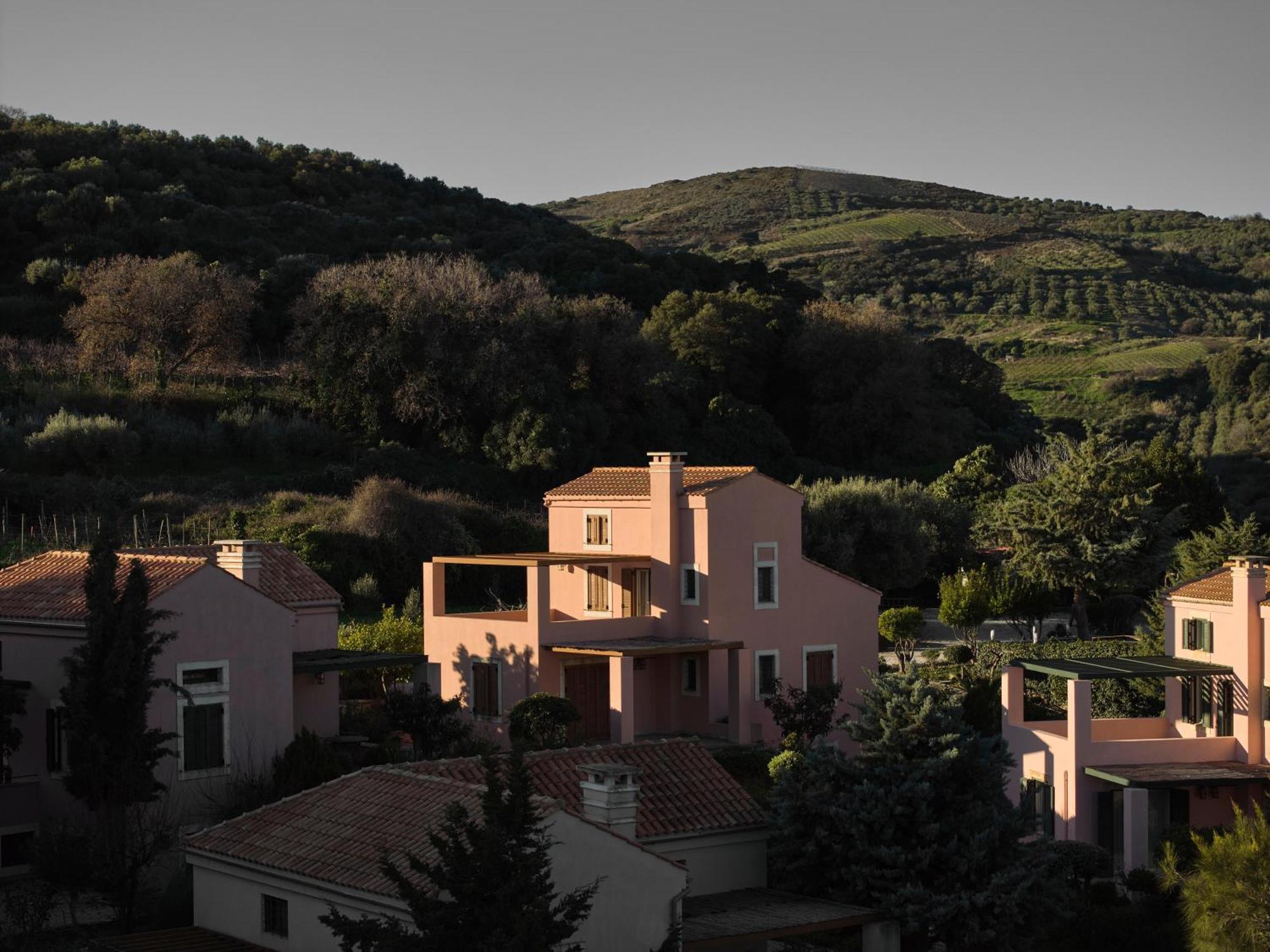 Appartement Eliathos Hillside Retreat à Archanes Extérieur photo
